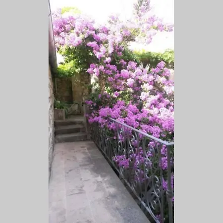 Dream House Near The Sea 米欧纳